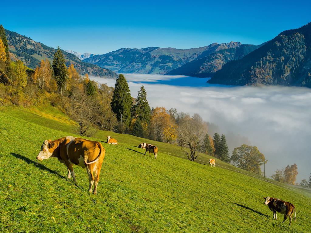 Arcadia Appartments Bad Hofgastein Luaran gambar